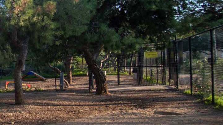 Κλείσιμο Άλσους Χωροφυλακής λόγω παράνομων ταφών ζώων