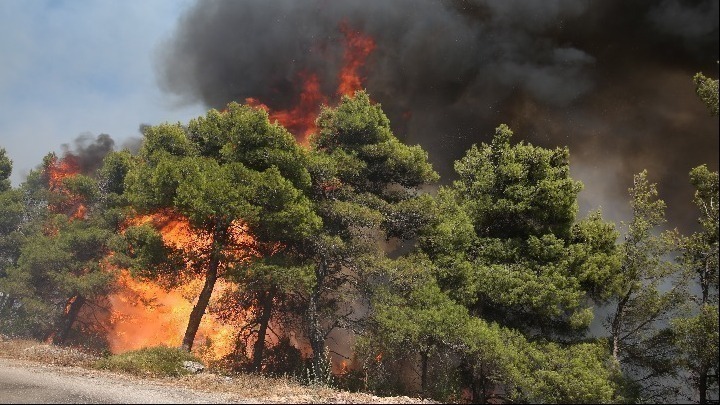 Πυρκαγιά: Υψηλός Κίνδυνος σε Πολλές Περιοχές - Ενημέρωση και Προληπτικά Μέτρα
