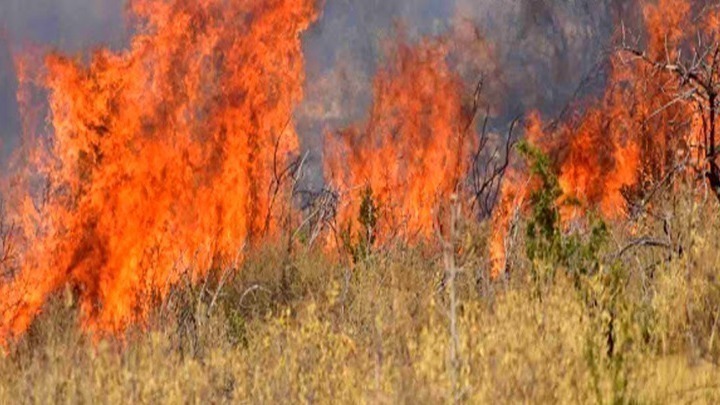 Πολύ Υψηλός Κίνδυνος Πυρκαγιάς σε Πολλές Περιοχές της Ελλάδας