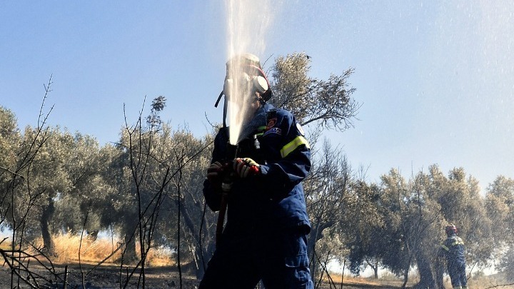 Νέες φωτιές σε δασική έκταση στη νότια Λέσβο