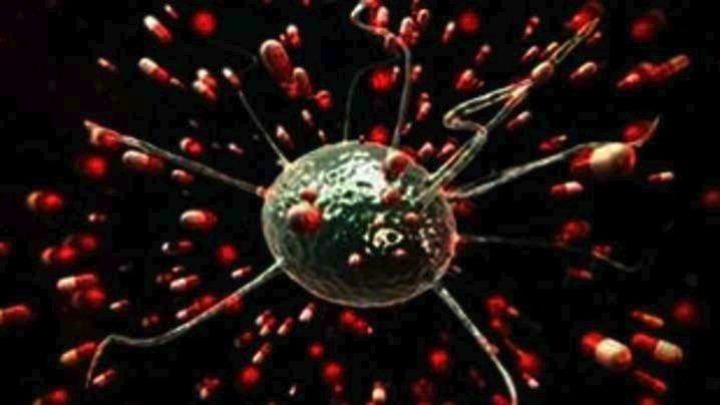 Σχετικά με την Σύνδεση των Βακτηρίων και των Μυκήτων στο Στόμα με τον Καρκίνο του Παγκρέατος