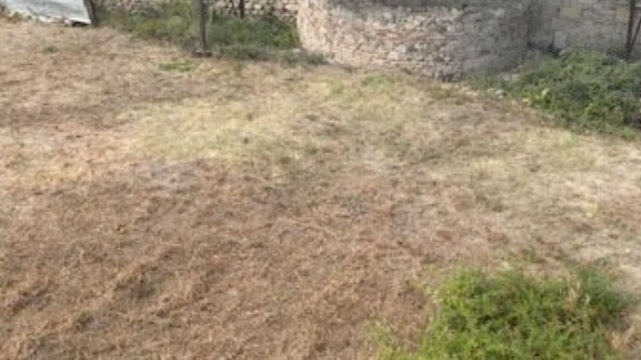 Σοκ στη Βοιωτία: Η σκοτεινή υπόθεση της γυναίκας που έθαψε τη μητέρα της για επιδόματα