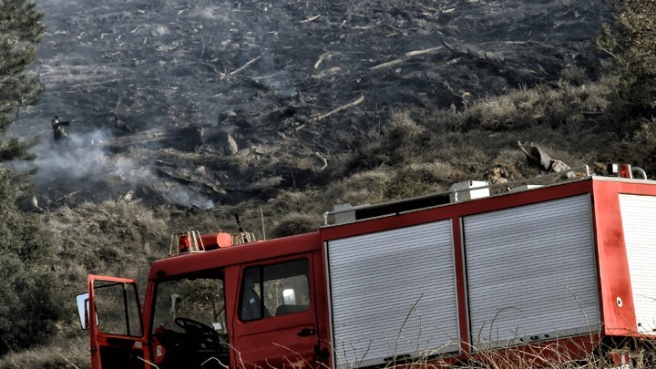 Πυρκαγιά στην Πάρνηθα: Ενεργοποιήθηκαν 80 πυροσβέστες για την κατάσβεση