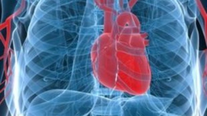 Η ΕΚΕ επισημαίνει την ανάγκη για πρόληψη καρδιαγγειακών νοσημάτων