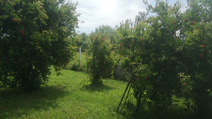 Κλιματικά Ουδέτερα Προϊόντα: Η Ανάγκη για Ενημέρωση και Ευαισθησία