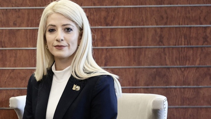 Η Πρόεδρος της Βουλής των Αντιπροσώπων της Κύπρου επισημαίνει τη σημασία των ελληνοκυπριακών σχέσεων