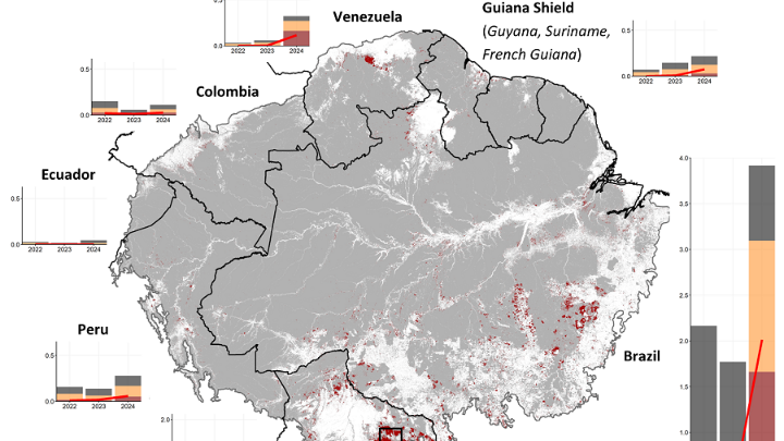 Πυρκαγιές στον Αμαζόνιο: Καταστροφικές εκπομπές διοξειδίου του άνθρακα