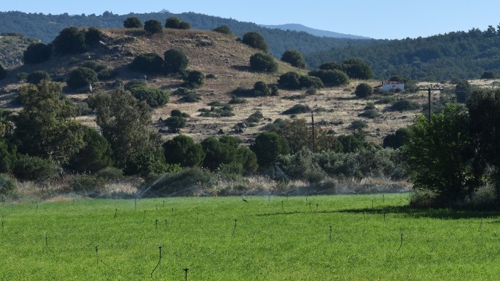 Οριστικοποιήθηκε η παραχώρηση για ανασκαφή της αρχαίας Αρίσβης