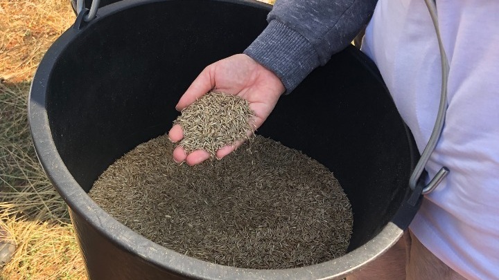 Σημαντικό έργο για τη χαρτογράφηση οικολογικών διαδρόμων στην Πάρνηθα