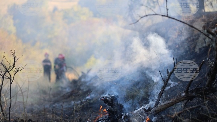 Η Ευρώπη αντιμετωπίζει αυξημένο κίνδυνο δασικών πυρκαγιών το 2024