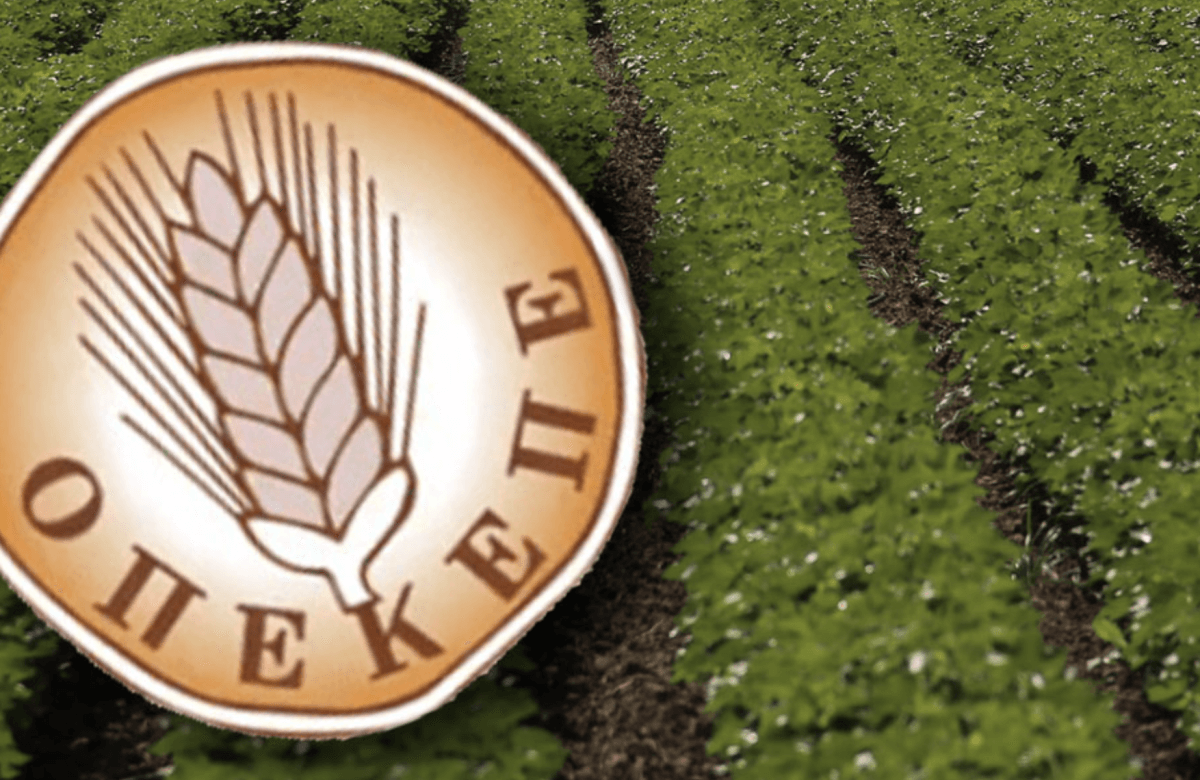 Κρήτη: Πρωταθλήτρια στις Παράνομες Επιδοτήσεις του ΟΠΕΚΕΠΕ