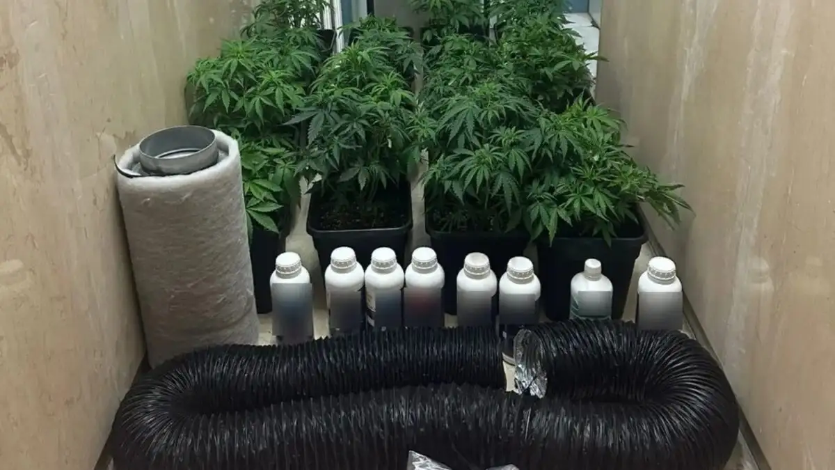 Συνελήφθη πρώην αθλήτρια για συμμετοχή σε κύκλωμα τηλεφωνικών απατών